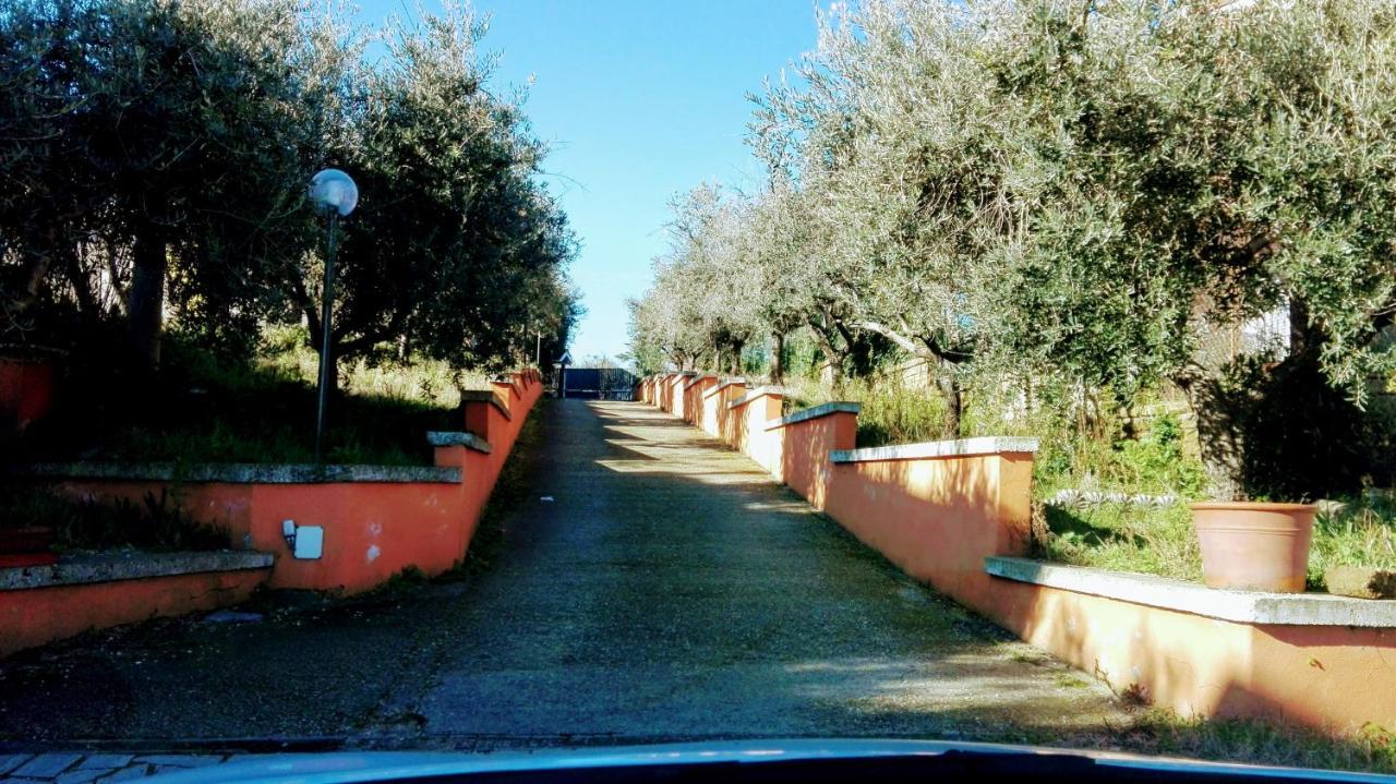 Vila Locazione Turistica Dream House Marzia Řím Exteriér fotografie