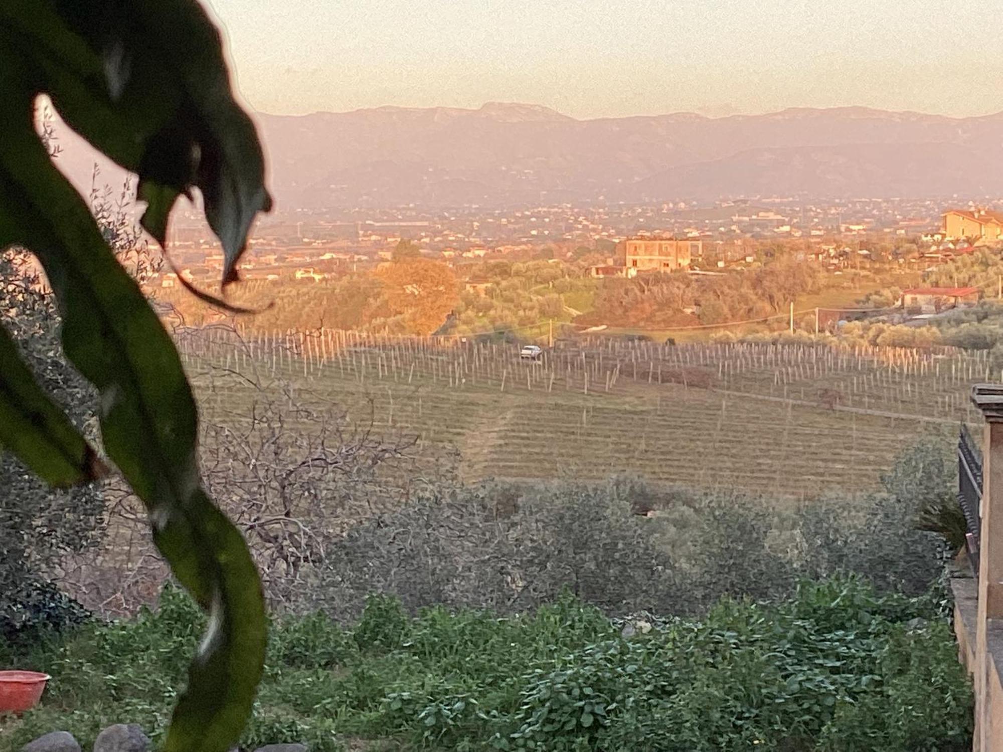 Vila Locazione Turistica Dream House Marzia Řím Exteriér fotografie